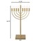 Chabad Style Hanukkah Menorah for Entryway, Living Room, Office, and Kitchen with LED Light Bulbs and Remote Control for Easy Daily Hanukkah Lighting Sequence
